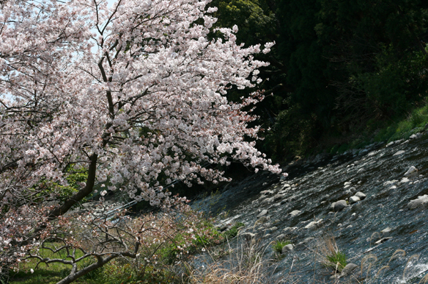 405 mini1 IMG_5557.jpg